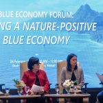Blue Economy Governance: The Building Blocks of Sustainable Success